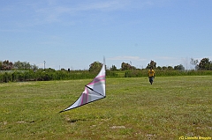 Venice kite festival_0087